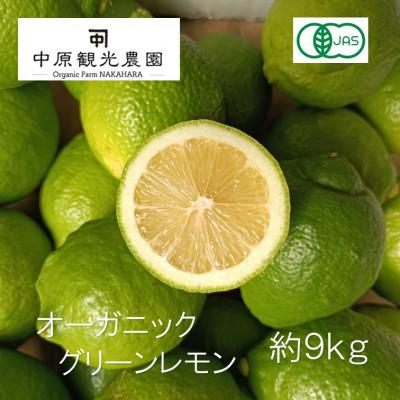 ふるさと納税 大崎上島町 【2026年10月〜11月発送】大崎上島産オーガニックグリーンレモン 約9kg(有機JAS認証)