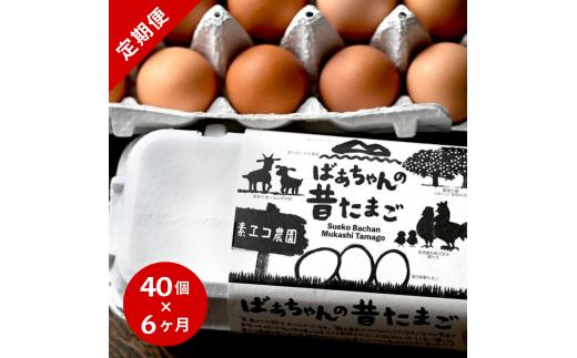 【6回定期便】平飼いで のびのび！ばあちゃんの昔たまご 40個/月 割れ保証あり 999-B619