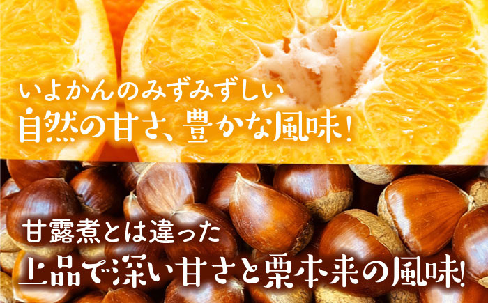 ドライフルーツ４種セット（いよかん・ポンカン・栗・柿）