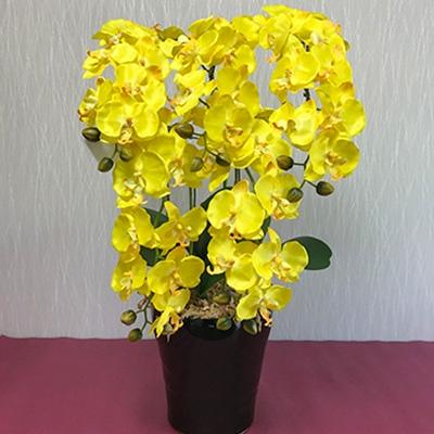 ふるさと納税 大垣市 光触媒造花胡蝶蘭　5本立(イエロー)
