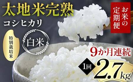 【先行予約】お米の定期便 特別栽培米 太地米完熟 【こしひかり】 白米2.7kg×9か月連続 ブランド米 お米 精米 白米 人気 F7X-0694