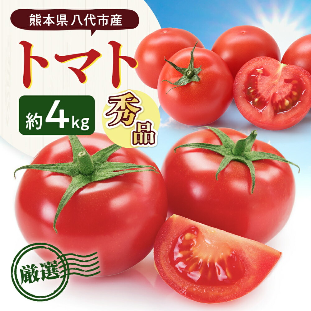 【ふるさと納税】【先行予約】 熊本県八代市産 トマト 約4kg (20玉または24玉) とまと 野菜 やさい サラダ 旬 旬の野菜 新鮮 新鮮な野菜 熊本県 八代市 送料無料【2027年1月上旬より順次発送】