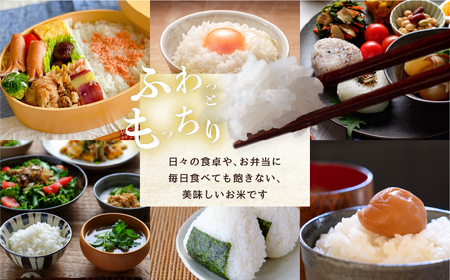 【5kg：10月発送】数量限定 \13000円/ こしひかり 5kg お米 おこめ 米 コメ ごはん コシヒカリ ご飯 ブランド米 精米 令和7年 定期 6か月 令和6年産 売り切れ 備蓄米 よりおい