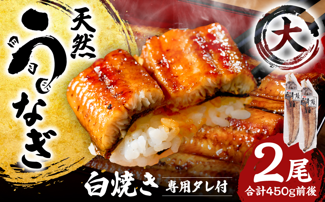 熊本県八代市産 天然うなぎ 白焼 (大) 2尾 合計450g前後 蒲焼のたれ付き 鰻 国産 蒲焼 ウナギ うなぎ 丑の日 冬が旬 冷凍 熊本県 八代市