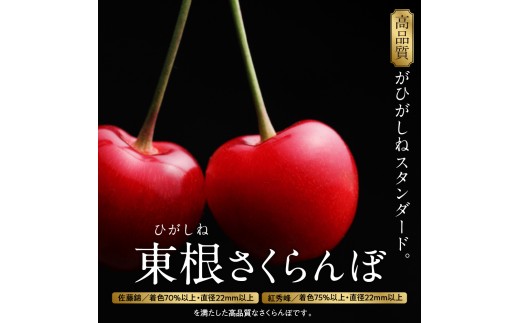 【2027年産 先行受付】 GI 東根さくらんぼ 紅秀峰 特秀品 約700g(350g×2P) 2Lサイズ以上 山形県 東根市 ベジフルひがしね hi104-018-r9 さくらんぼ サクランボ フル