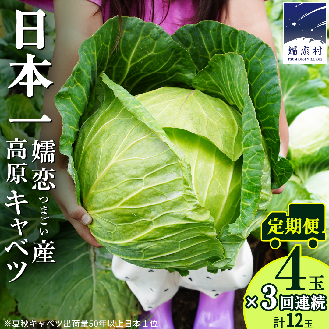 【7月中旬発送開始】 嬬恋キャベツ 定期便 嬬恋産 高原 キャベツ 4玉 1ケース  3ヶ月連続 旬の野菜 きゃべつ 産地直送 群馬 お取り寄せ 野菜 セット Lサイズ ZIP! 先行予約 2026年発送 [AS004tu]