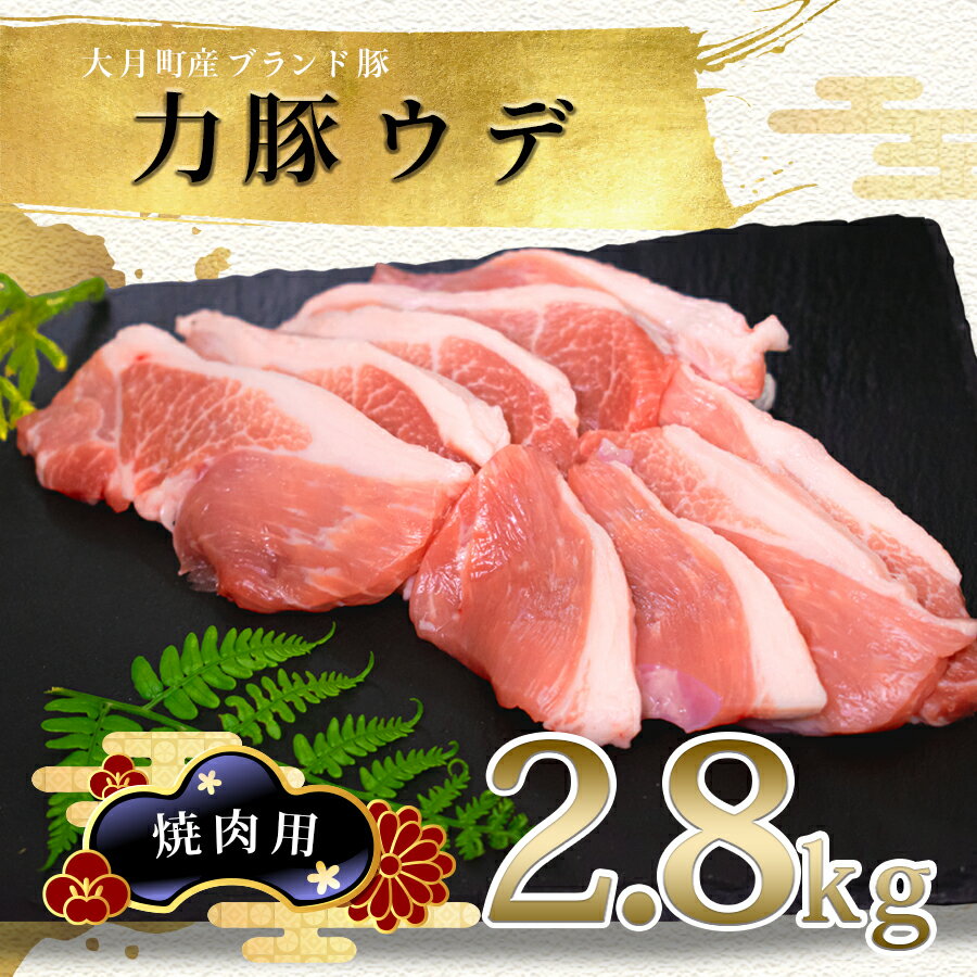 【ふるさと納税】【高知県 大月町産ブランド豚】力豚ウデ焼き肉用2.8kg