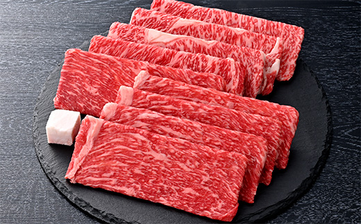 【4等級以上】厳選　近江牛　すき焼き・しゃぶしゃぶ【500g（リブロース250g、モモまたはウデ250g）】【BS01W】