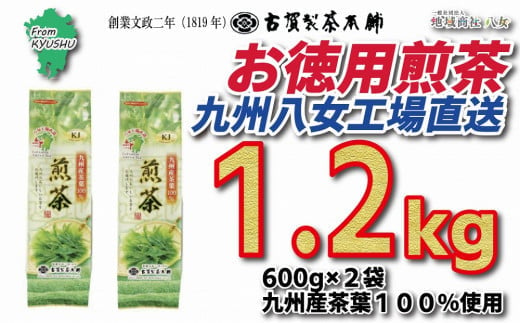 
創業200年の老舗・古賀製茶本舗 九州八女工場直送お徳用煎茶1.2kg
