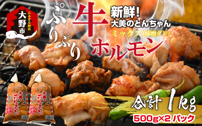 
            【先行予約】大美のとんちゃん（ミックス）牛ホルモン ミックス 味噌ダレ 1kg（500g×2パック）【2026年1月17日～順次発送開始】
          