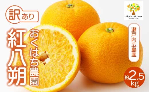 
                  【おくはち農園】〈訳あり〉紅八朔 2.5kg 《2027年2～3月発送予定》栽培期間中 防腐剤 ワックス 不使用 旬 柑橘 かんきつ はっさく フルーツ 果物 瀬戸内 166005 
                