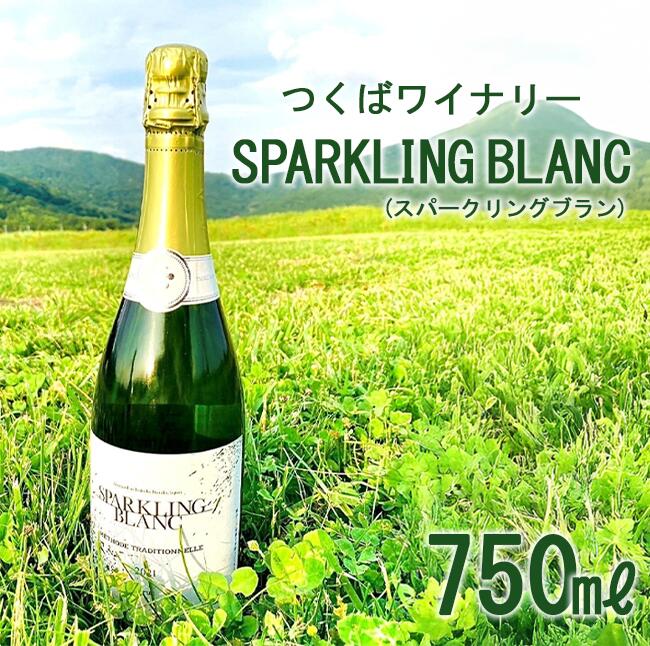 【ふるさと納税】つくばワイナリー SPARKLING BLANC (スパークリングブラン) | お酒 葡萄 ぶどう ブドウ 茨城県 つくば市 ワイナリー ワイン スパークリングワイン