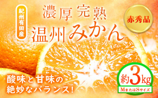 【先行予約】赤秀品　紀州有田産 濃厚完熟温州みかん 3kg(MサイズまたはSサイズ) 魚鶴商店《2025年11月下旬-2026年2月上旬頃出荷予定》和歌山県 日高町 みかん ミカン 蜜柑 フルーツ 柑橘