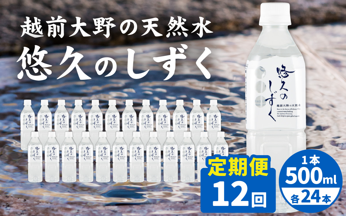 【12ヶ月連続お届け】越前大野の天然水　悠久のしずくPET500ｍｌ×24本×12回　計288本