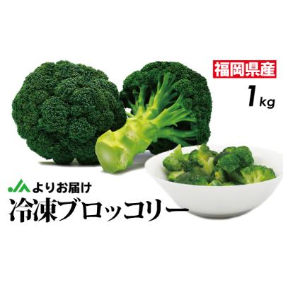 ふるさと納税 福津市 【2026年3月より発送】福岡県産　冷凍ブロッコリー1kg(1kg×1袋)[F2256as]