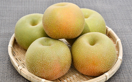 先行予約 和梨 幸水 特秀品 約5kg [8月中旬から発送予定] 糖度13度以上を厳選 10～16玉 新潟県産 天果糖逸 [JAえちご中越]【013S061】