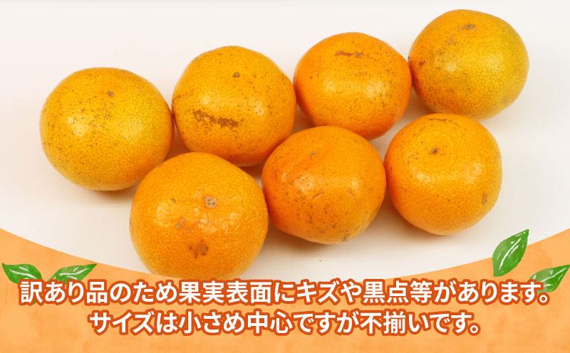 訳あり 小玉 みかん 9kg 2S ～ 3S サイズ 不揃い 植村農園 早生 南柑20号 早生温州 早生みかん 温州みかん わせ 果物 くだもの フルーツ 柑橘 蜜柑 みかん mikan 農家直送 産