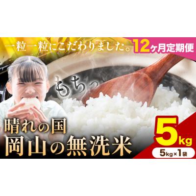 ふるさと納税 矢掛町 【12ヶ月定期便】晴れの国岡山の無洗米 5kg《申し込み翌月から発送》
