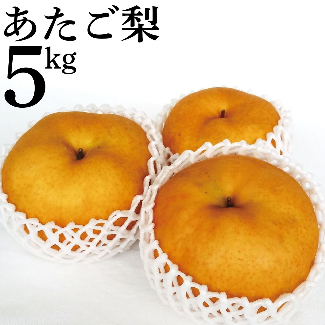 【ふるさと納税】あたご梨5kg
