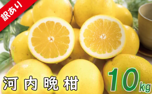 訳あり 河内晩柑 サイズ不揃い 約10kg