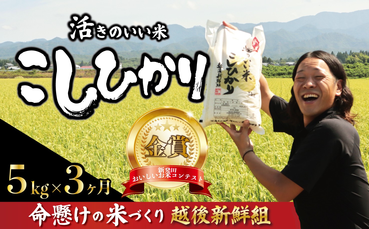 【定期便】 金賞米 コシヒカリ 5kg 3か月 令和8年産 計15kg 新潟 こしひかり 精米 白米 コシヒカリ ご飯 おにぎり 弁当 新潟県産 新発田産 新潟 米 お米 こめ 受賞 越後新鮮組 新潟県 米 新潟県 新発田市 shinsengumi005_202611