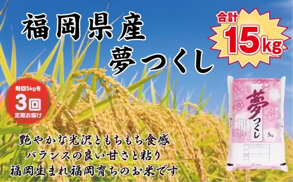 
            【定期便全3回】【令和7年産新米予約】【食味鑑定士厳選】福岡県産 夢つくし5kg (5kg×1袋) 合計 15kg
          