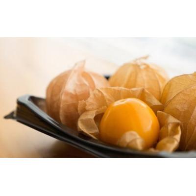 ふるさと納税 白馬村 フルーツほおずき(生食用) 100g×2パック