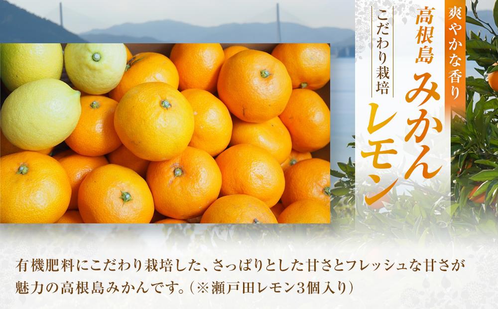 こだわり栽培 高根島みかん 5kg  レモン3個入り <2025年11月下旬より発送開始>【フルーツ 果物 青果 柑橘 オレンジ 瀬戸田レモン 国産 有機 広島県 尾道市】