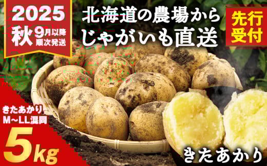 【2025年秋発送予約】積丹町産 きたあかり 5kg 数量限定 期間限定 じゃがいも 北海道 ジャガイモ 芋 いも