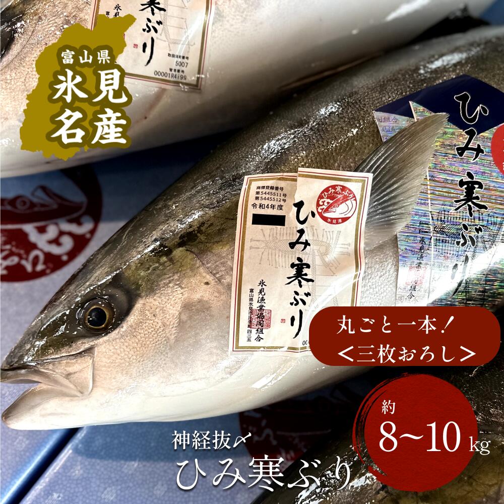 【ふるさと納税】 【先行予約】 ひみ寒ぶり朝どれ1本＜三枚おろし＞（神経抜〆8～10kg） ｜富山湾 氷見 氷見漁港 能登 寒ブリ 1本 天然鰤 天然 鮮魚 ブリ 産地直送 期間限定
