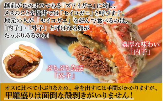 【特別価格期間延長！】【産地直送】福井冬の味覚！越前がに（ずわいがに600～700g 1杯） ＆ せいこ甲羅盛り5個 越前がに（ずわいがに600～700g 1杯） ＆ せいこ甲羅盛り5個