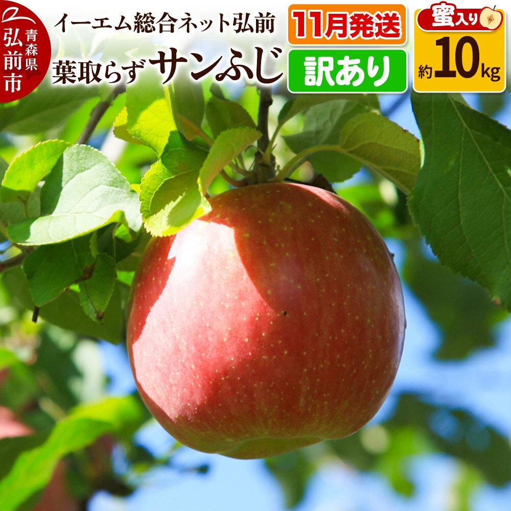 【ふるさと納税】【11月発送】りんご【訳あり】葉取らず サンふじ 約10kg 糖度 13度以上【蜜入り】EMりんご