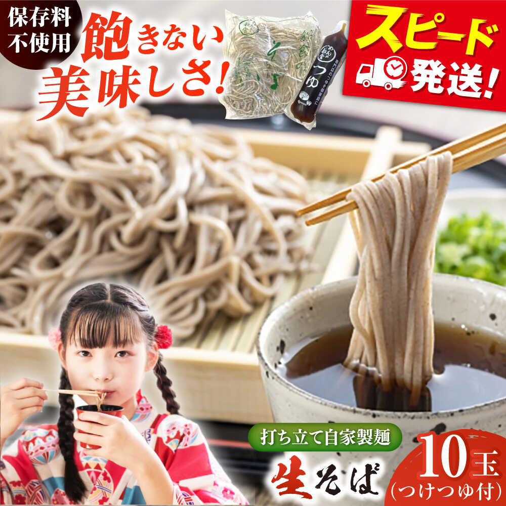 【ふるさと納税】船食製麺の生そば 約120g×10玉セット 自家製つけつゆ付き 蕎麦 ソバ ざるそば 生麺 細麺 そば 出汁 だし そば粉 麺 めん 麺類 つゆ 年越しそば【有限会社 船食製麺】[AKAL001] 7000円 7千円
