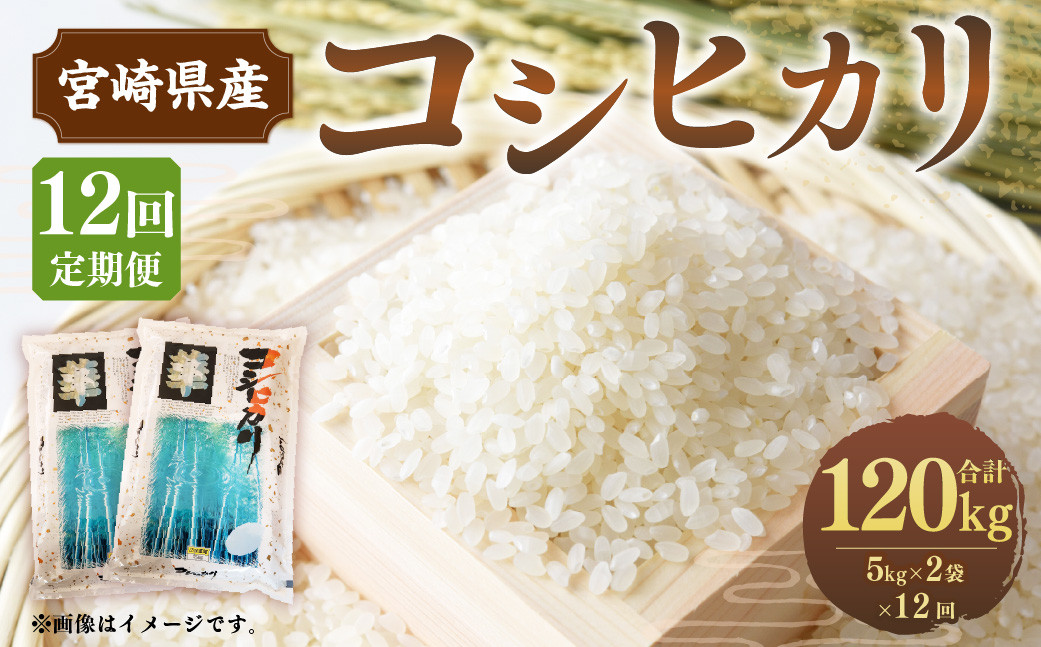 
＜12ヶ月定期便 宮崎県産 コシヒカリ 10kg＞お申込みの翌月下旬頃に第一回目発送（12月は中旬頃）
