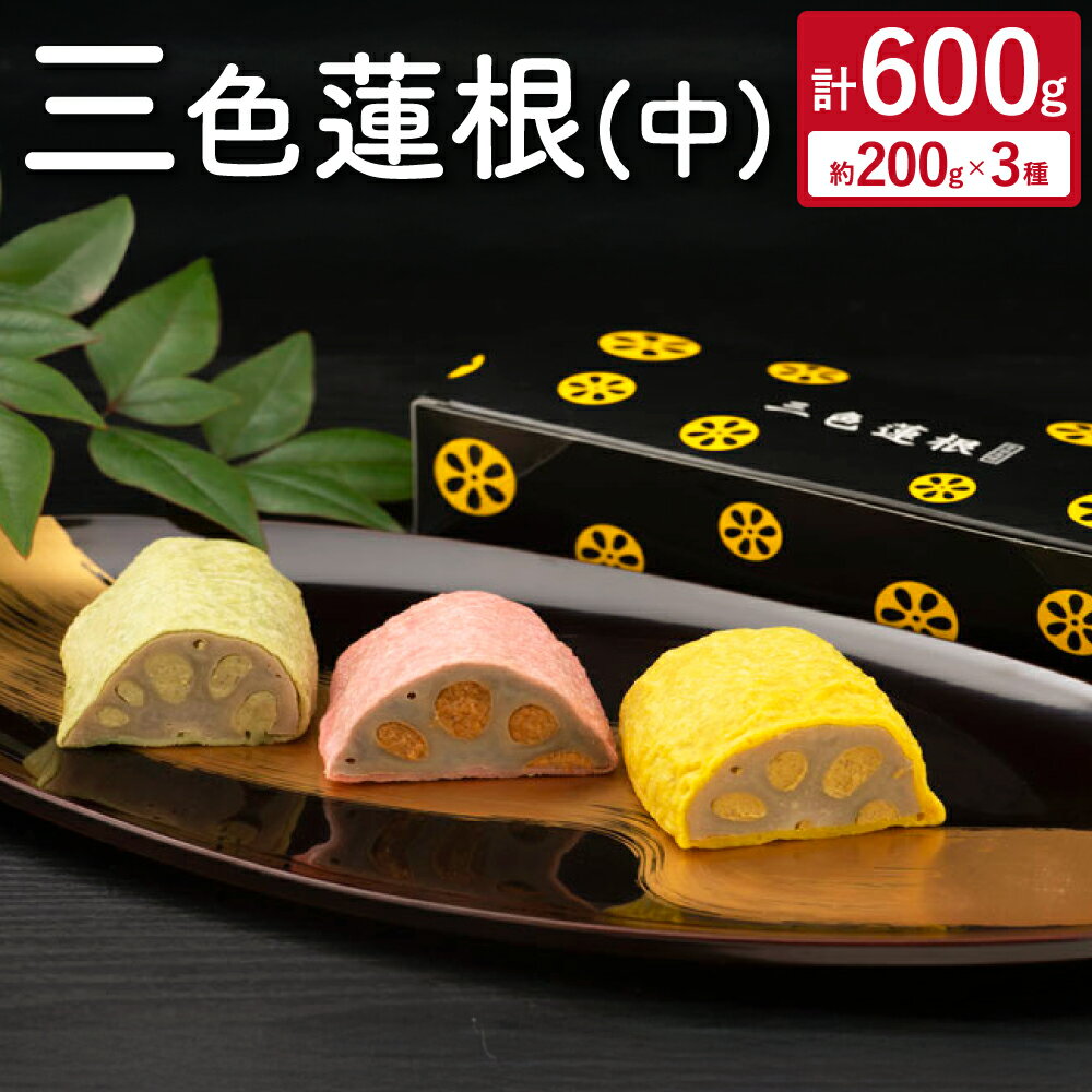 【ふるさと納税】三色蓮根（中）約200g×3本 計600g 3種 からし蓮根 わさび蓮根 さくら蓮根 れんこん 蓮根 惣菜 冷蔵 お取り寄せグルメ 九州 熊本県 宇城市 送料無料 おだ商店