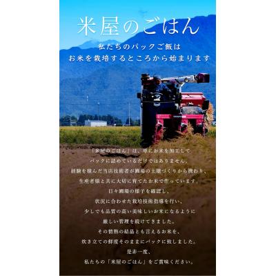 ふるさと納税 阿賀野市 【9ヶ月定期便】パックご飯 新潟県阿賀野市産みずほの輝き 150g×36食×9回 |  | 03
