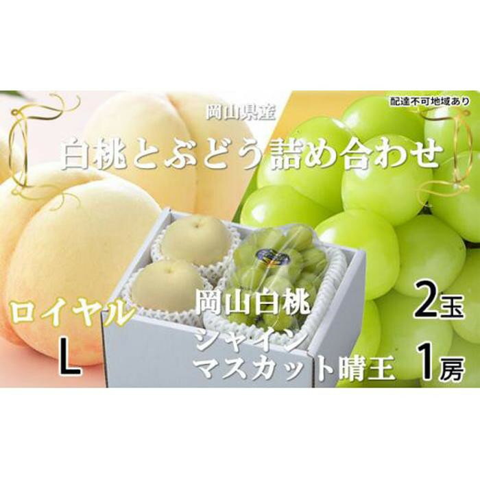 【ふるさと納税】【内容量が選べる】2026年 岡山白桃ロイヤル 2玉×約200g（Lサイズ） シャインマスカット 晴王 1房約400g～岡山白桃 ロイヤル 2玉×約300g（3Lサイズ）　シャインマスカット 晴王 1房約600g | フルーツ 果物 くだもの 食品 人気