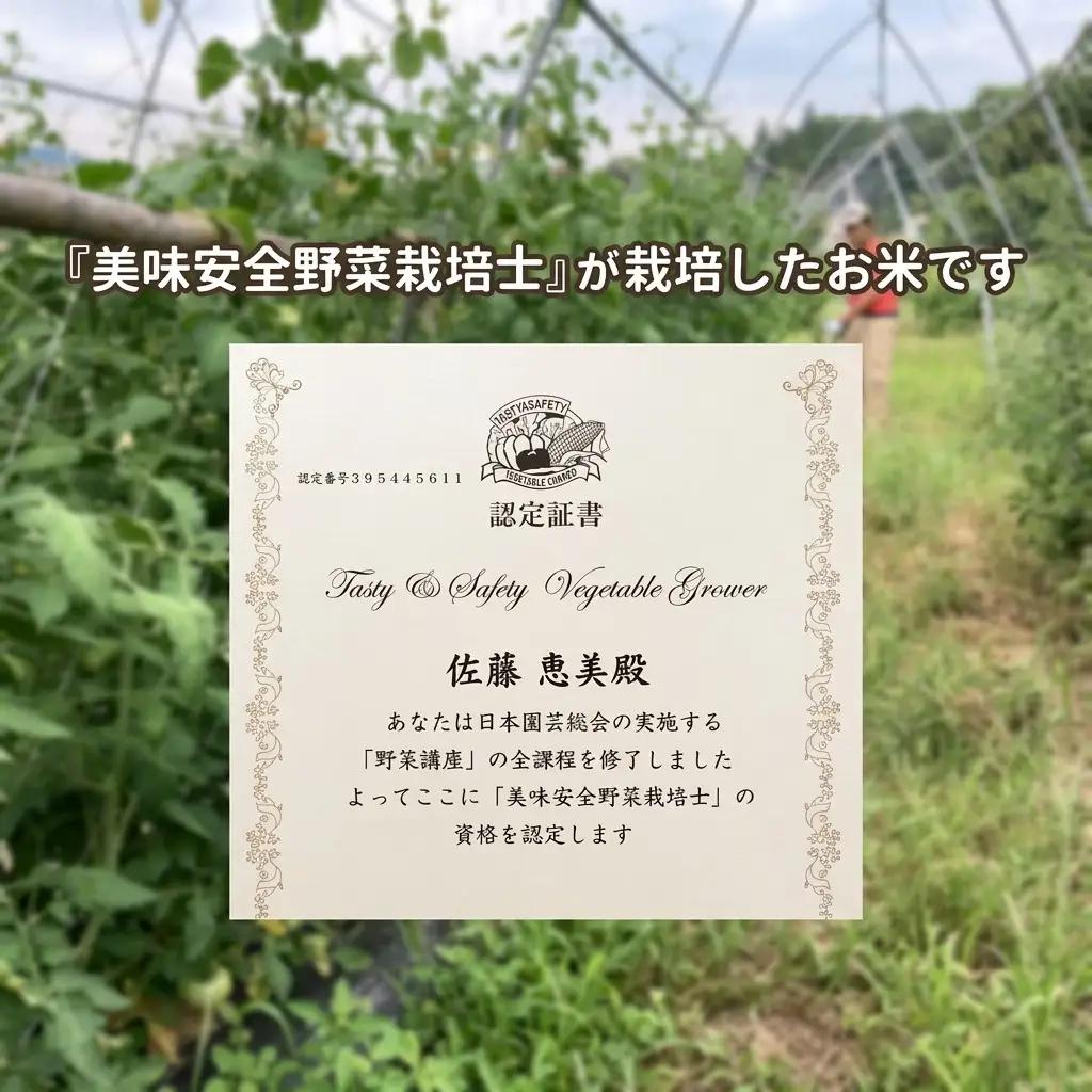 コシヒカリ 精米 5kg 美味安全栽培 コシヒカリ