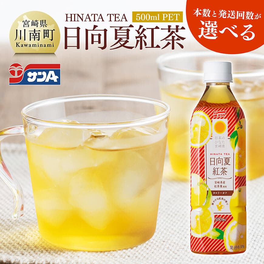 【ふるさと納税】※レビューキャンペーン※ ※本数と回数が選べる※ サンA日向夏紅茶HINATA　TEA500mlPET- 飲料 日向夏 紅茶 PET ジュース 長期保存 送料無料 定期便 C03013 C03013t3 C03013t6 C03014 C03014t3 C03014t6