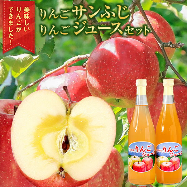 【ふるさと納税】中野果樹園のサンふじ3kgとりんごジュース720ml×2本/さんふじ サンフジ サンふじ ジュース 果汁 送料無料 矢巾町産 りんご 予約 蜜 しゃきしゃき シャキシャキ 甘い 酸味 贈答 ギフト プレゼント リンゴ 林檎 果物 くだもの フルーツ 岩手県 矢巾町