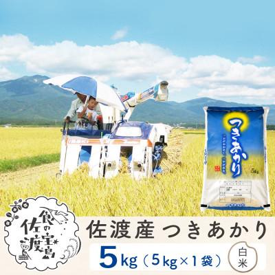 ふるさと納税 佐渡市 佐渡島産つきあかり 白米5Kg 土屋農園 農家直送 令和7年産 農薬5割減【食の宝島佐渡】