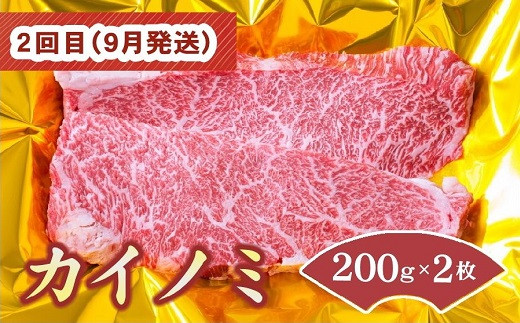 画像はイメージです。