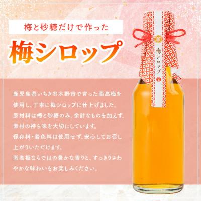 ふるさと納税 いちき串木野市 <数量限定>いちき串木野市産 梅シロップ 800ml(200ml×4本)南高梅 |  | 01