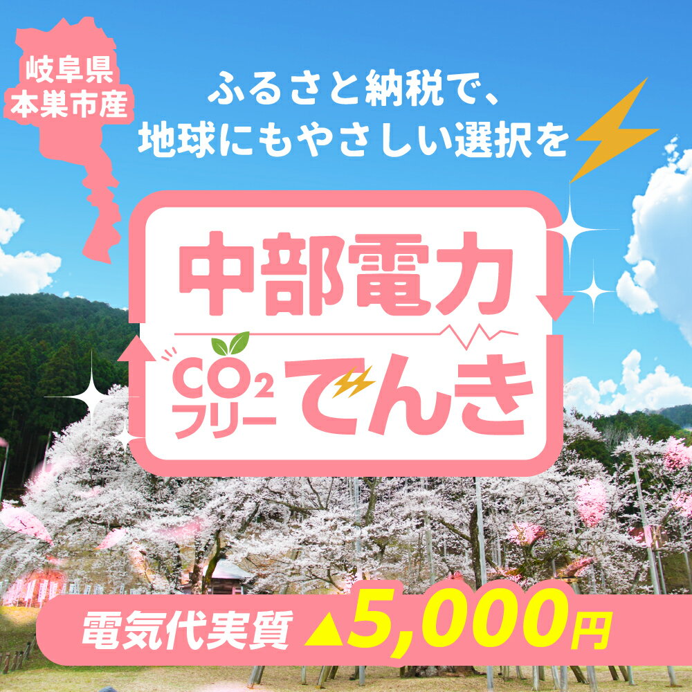 【ふるさと納税】本巣市産 CO2 フリーでんき 20,000 円コース（注：お申込み前に申込条件を必ずご確認ください）中部電力ミライズ 電気 電力 岐阜県 愛知県 三重県 静岡県 長野県 中電 20000円 2万円