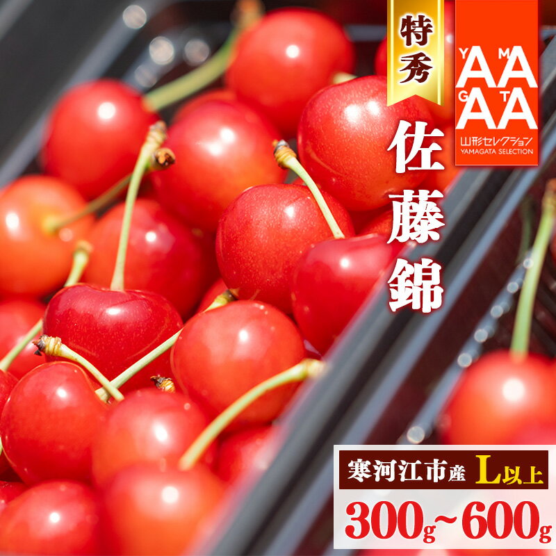 【ふるさと納税】《受付終了間近！》山形県産 さくらんぼ 選べる！ 「 佐藤錦 」300g 〜 600g 特秀品 Lサイズ以上 【2025年6月上旬頃〜下旬頃発送予定】 ／ お取り寄せ フルーツ 果物 果実 特産 産地 直送 高級 贈答 東北 300グラム 600グラム 2025年産 令和7年産 山形県産