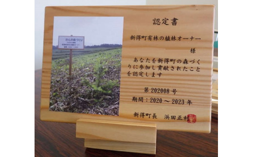 AB-5001 新得町有林の植林オーナー苗木500本分	【記念品：木製小物（小物入れなど）】