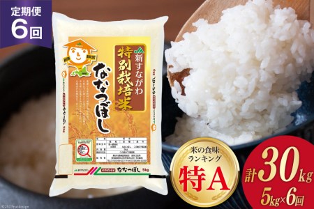 6回 定期便 JA新すながわ産 特栽米ななつぼし 5kg×6回 総計30kg [ホクレン商事 北海道 砂川市 12260738]