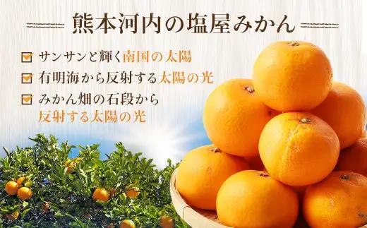 ＜ R8年熊本地震復興支援 ＞＜2027年1月発送予定＞【不揃い】選べる 河内 塩屋みかん 4kg 青島みかん 熊本 国産 みかん 蜜柑 ミカン 果物 くだもの フルーツ
