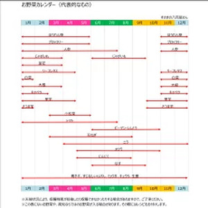 【 野菜 】 野菜セット 7～9品目