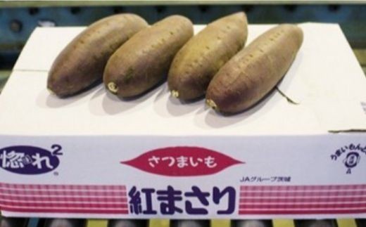 iL-3b さつまいも　行方甘藷　紅まさり　5kg（茨城県共通返礼品・行方市産） ／ さつまいも さつま芋 サツマイモ 薩摩芋 甘薯 行方甘藷 紅まさり 5kg 野菜 茨城県 送料無料